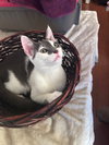 Anakin (& Sully) - Photo 3