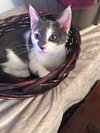 Anakin (& Sully) - Photo 4