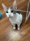 Buddy (and Spicy) - Photo 3