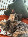 Spicy (and Buddy) - Photo 3