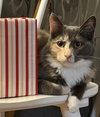 Spicy (and Buddy) - Photo 1