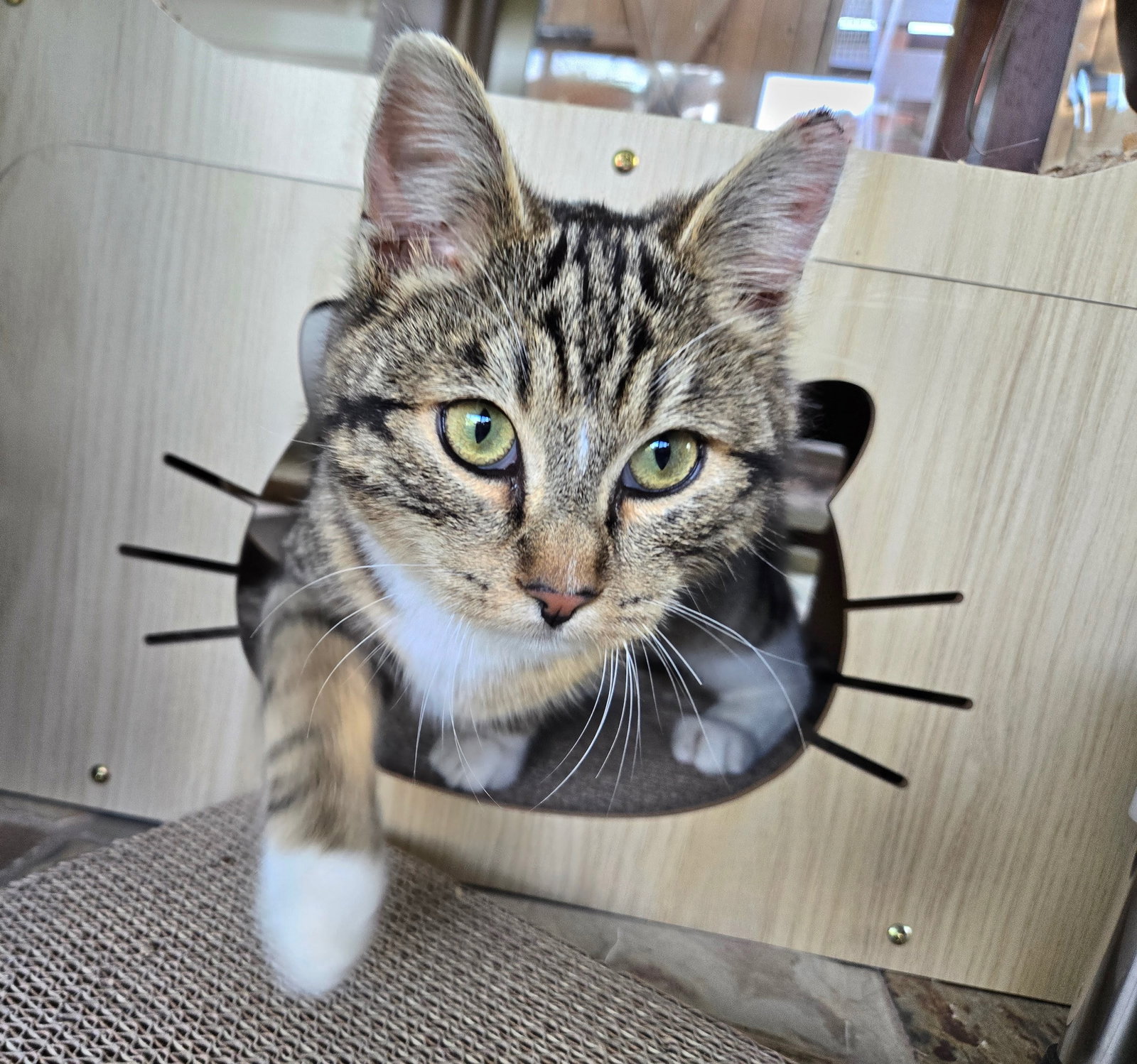 Oliver
