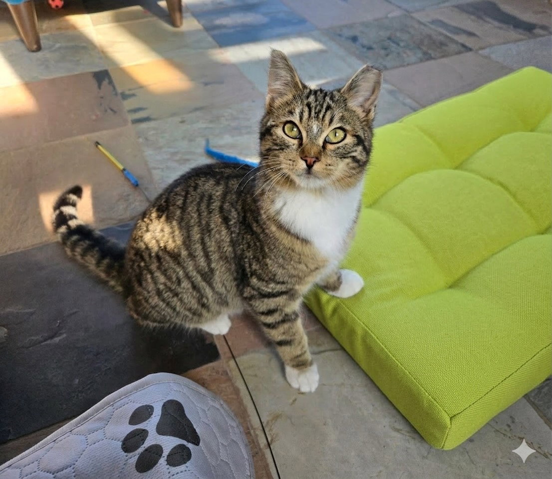 Oliver Image