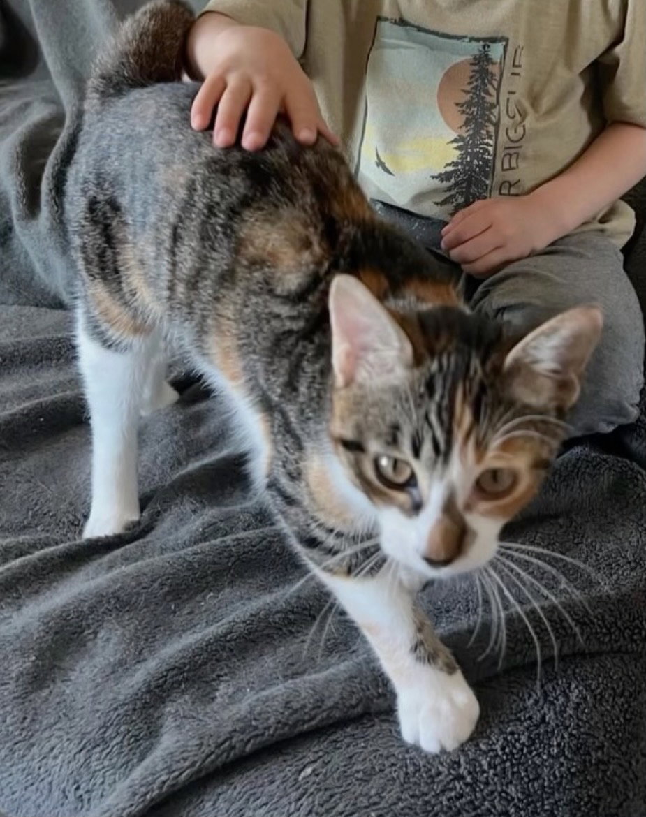 Stripes (& Dora), photo 5