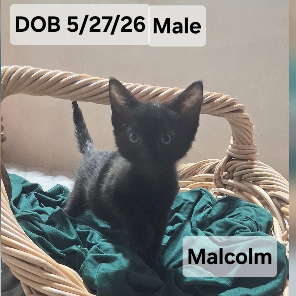Malcolm (& Grant), photo 8