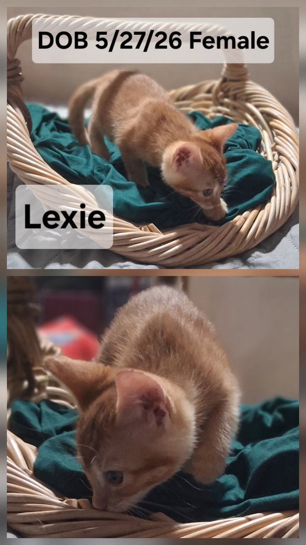 Lexie (& Maisie)