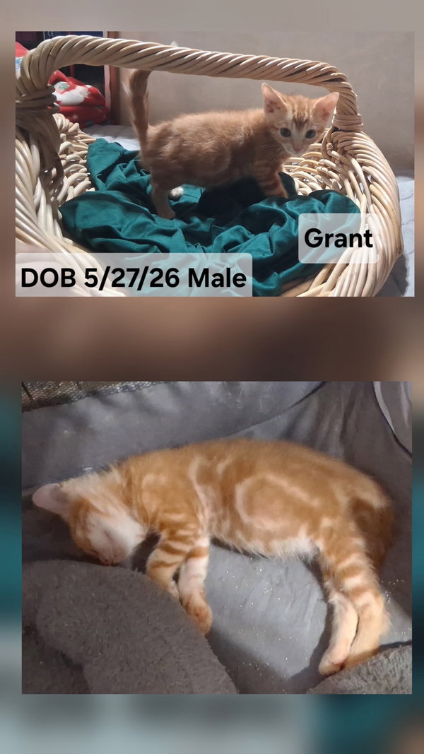 Grant (& sibling)