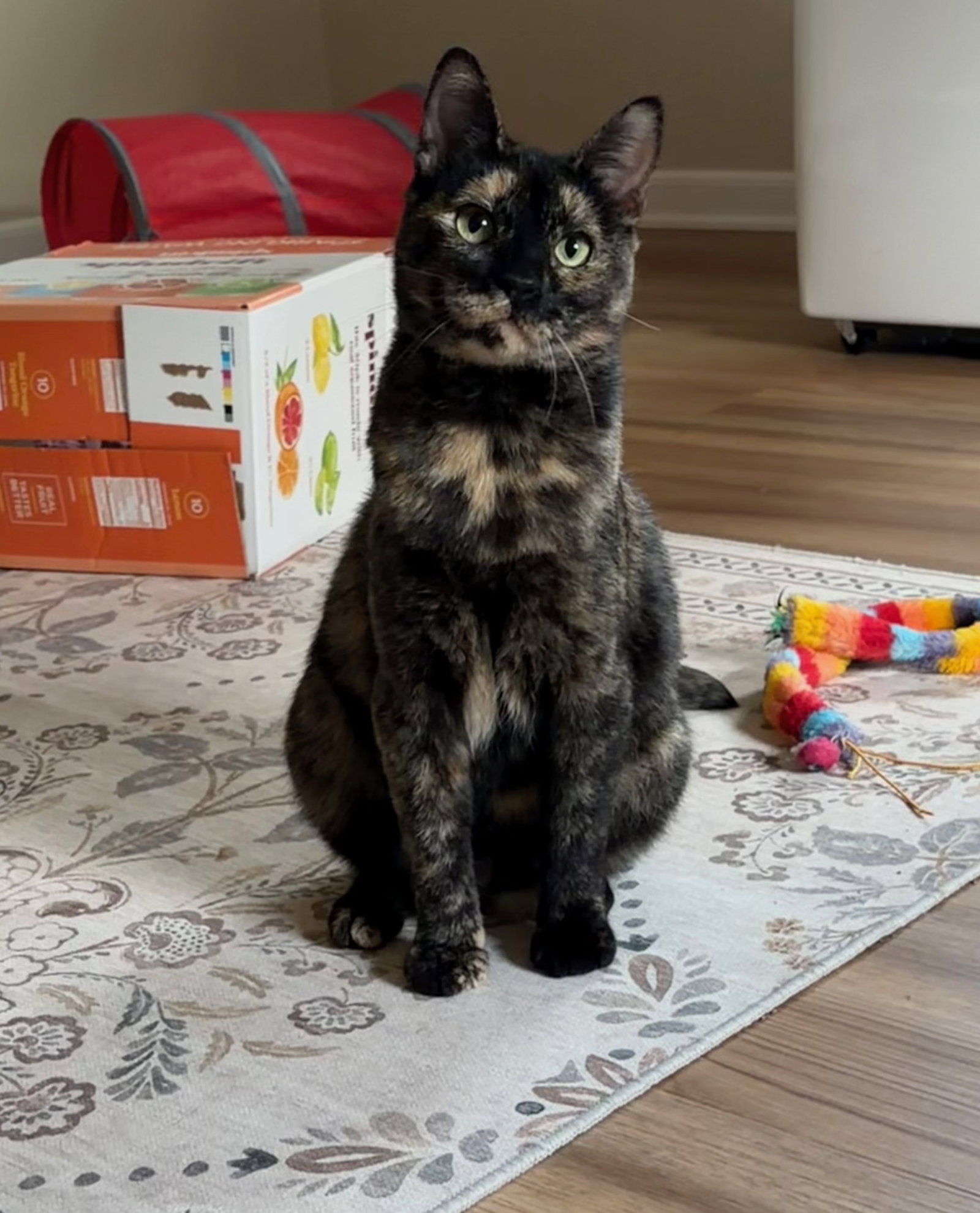 Felicia