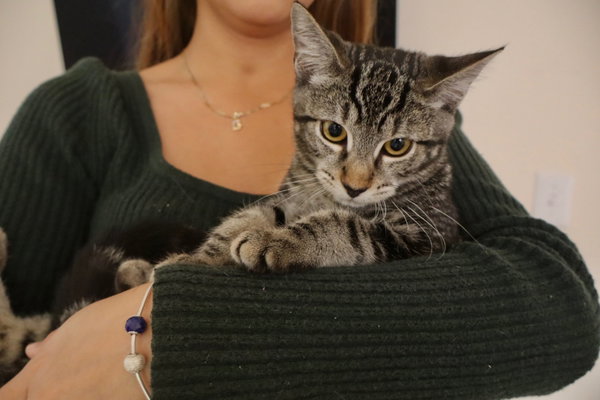 Milo (& Mary Paige)