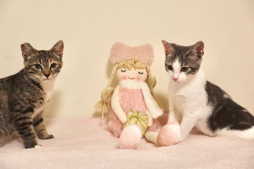 Photo 5 of Mary Paige (& Milo)