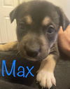 Max