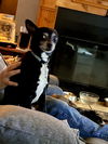 Petey