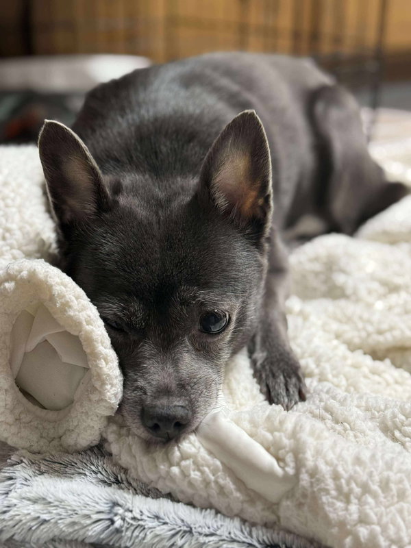 Precious
