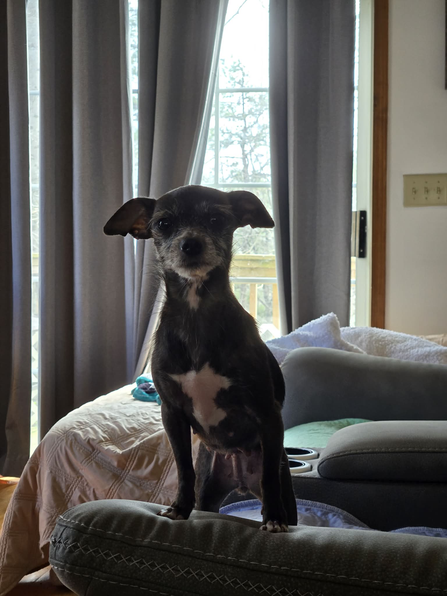 Bitsy