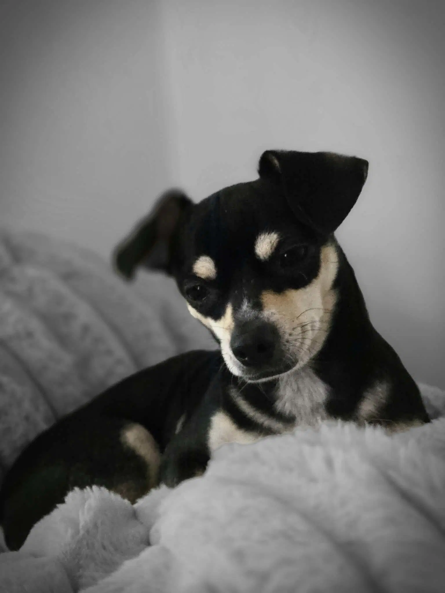 Gabby image 2