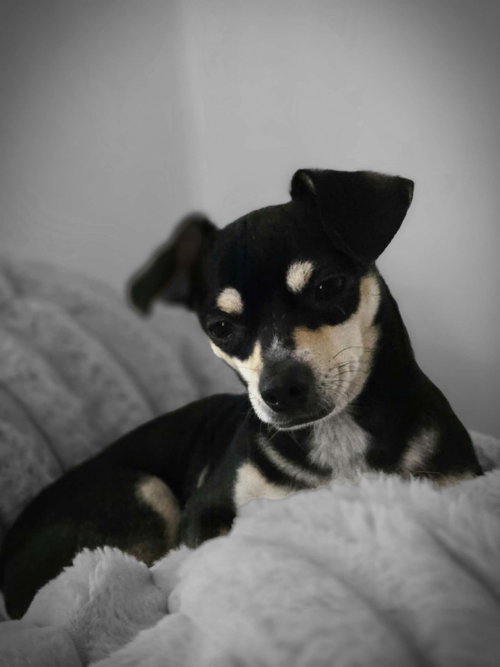 Photo 2 of Gabby