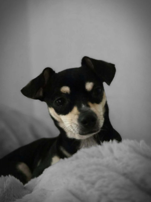 Photo 5 of Gabby