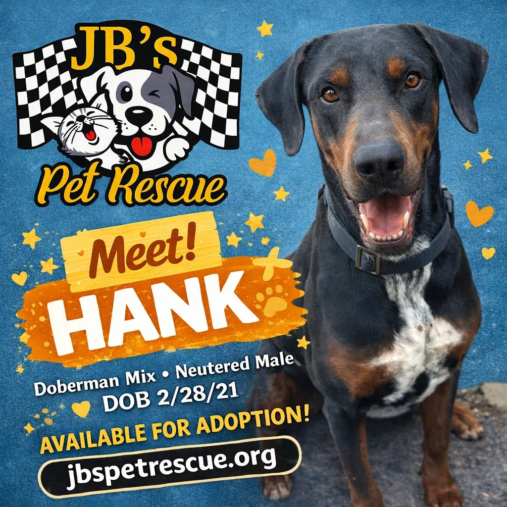 Hank image 3