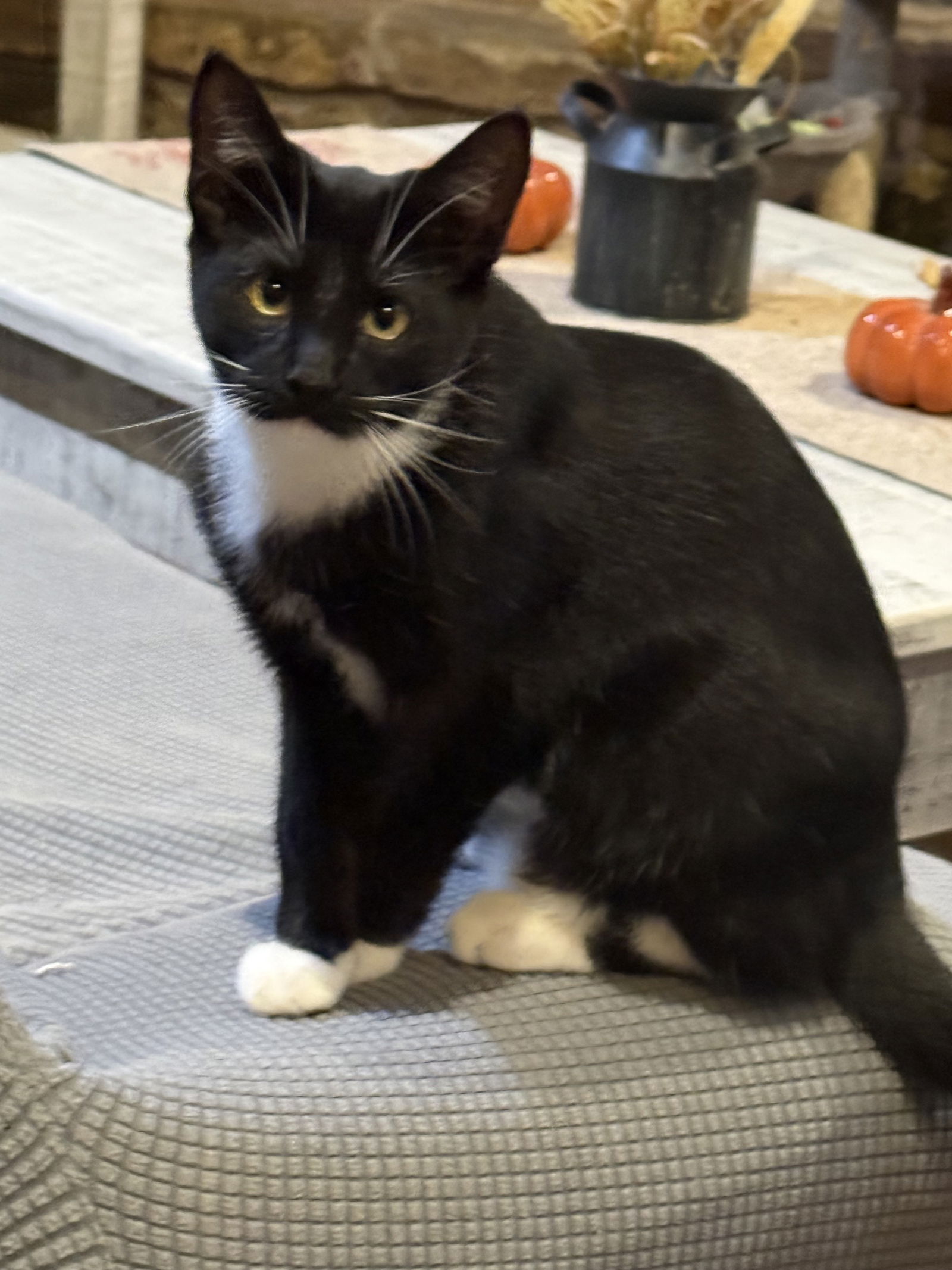 Max