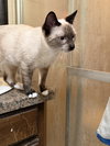 Oliver