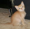 Timmy