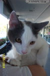 Benji
