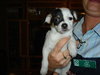 Betsy