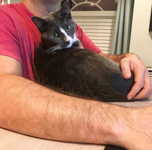 Bandit