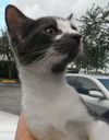 Princess Penelope