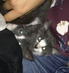 Princess Penelope