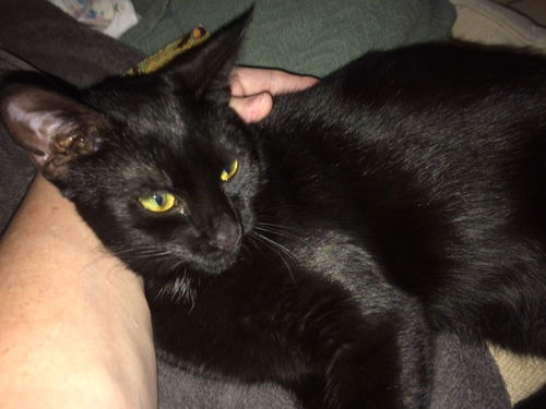 Kona