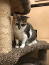 Sahara