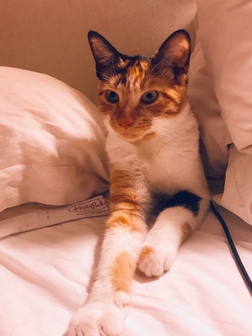 Marble