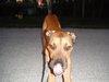 Benjy