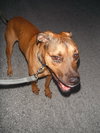 Benjy