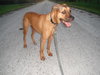 Benjy
