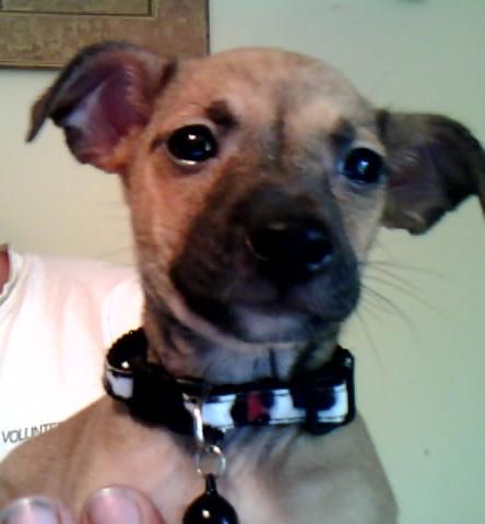 Billy