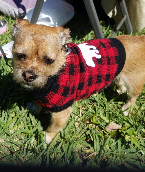 Bella