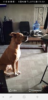 Tita