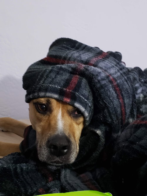 Tita
