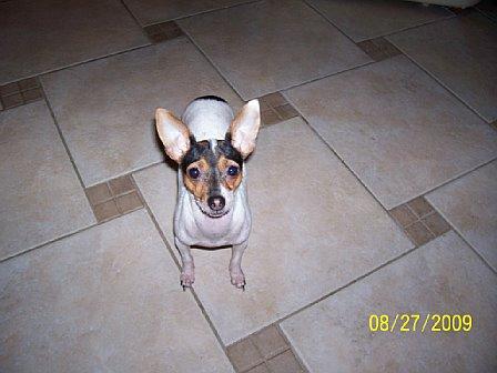 Trixie