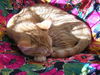 Tigger