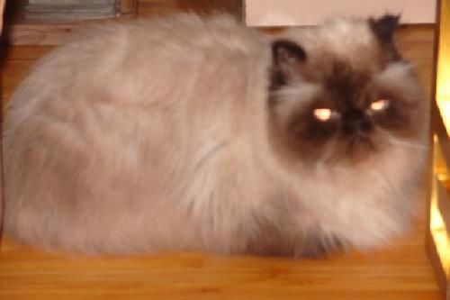 Duncan