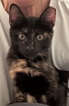 Tabitha