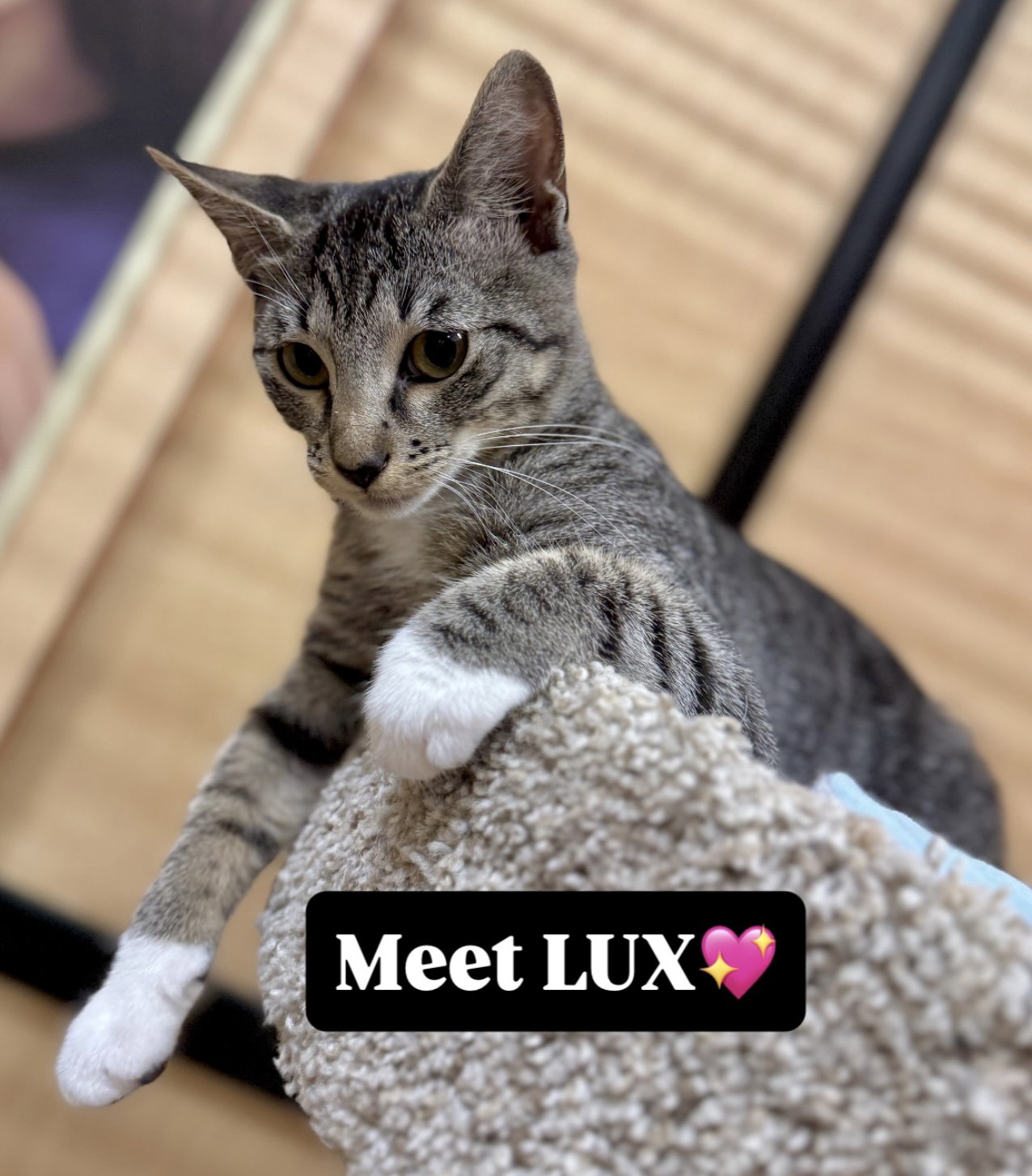 Lux Image
