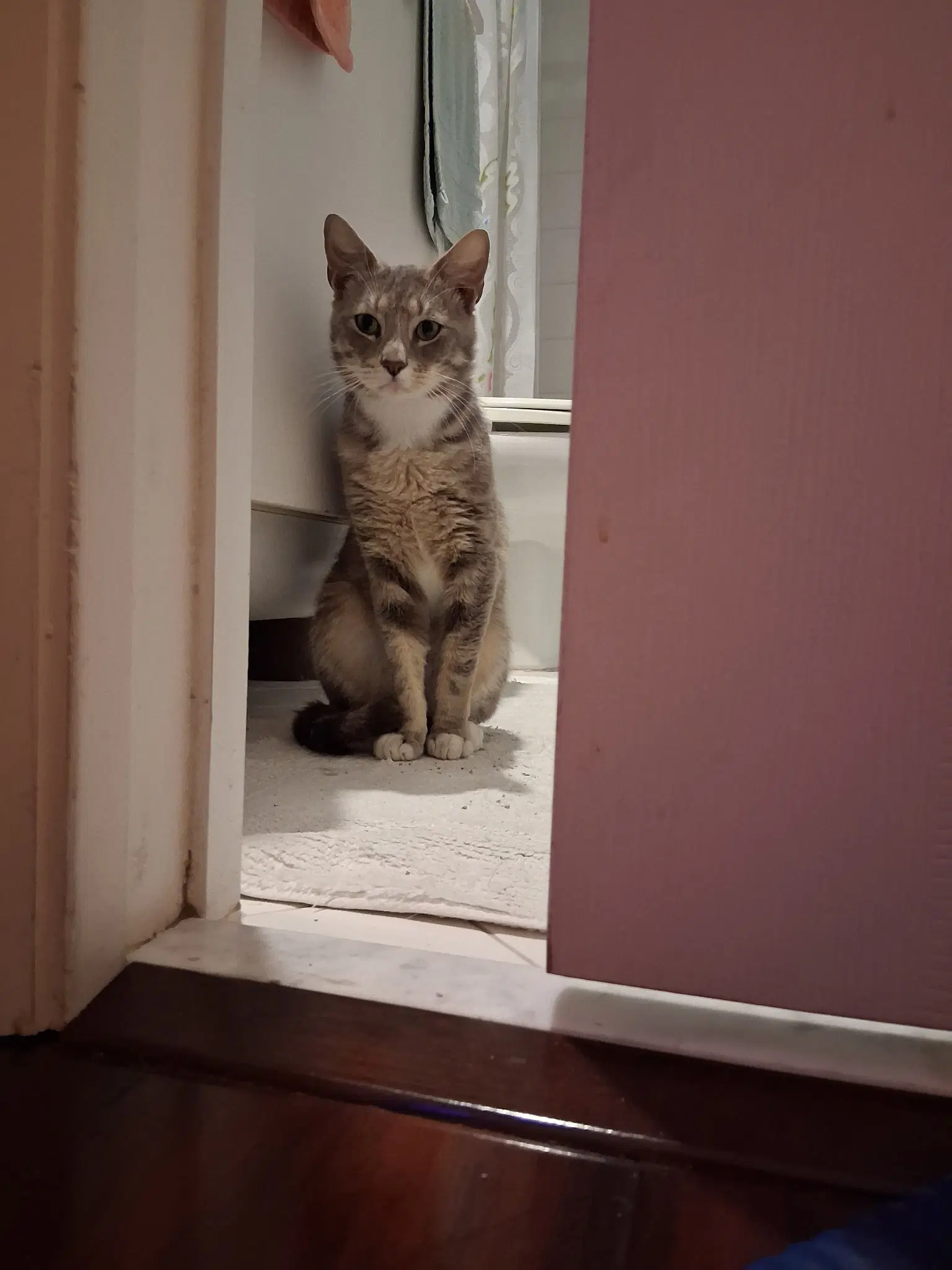 Charlie image 2
