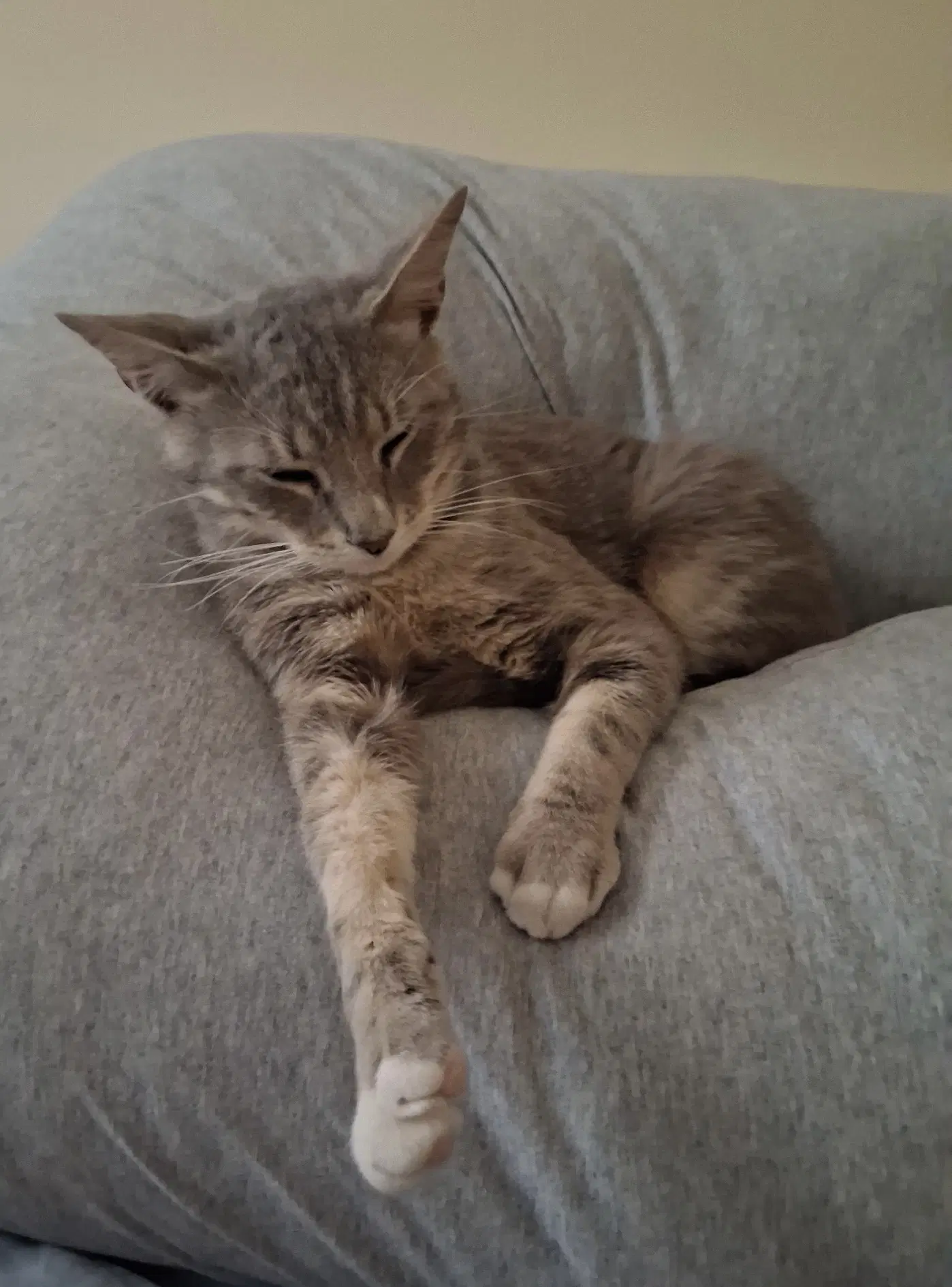 Charlie image 3