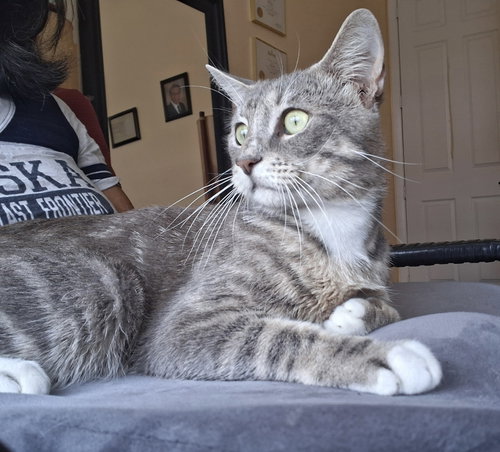 Photo 5 of Charlie