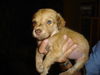 Baylee
