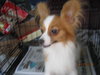 Bettina